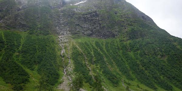 057. Ronové rýhy, Boyabreen