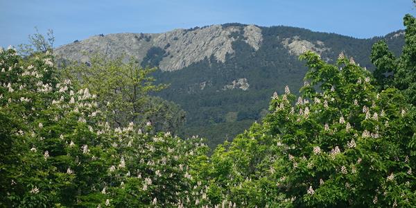 12. Sierra Guadarama, nad Escorialem