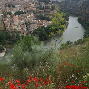 22. Soutěska řeky Tajo, Toledo