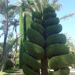 4. Park v Cádizu