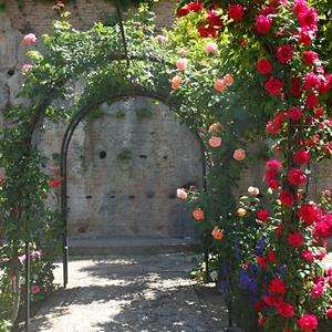 57. Generalife, Granada 3
