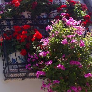 58. Granada, Albayzin 3