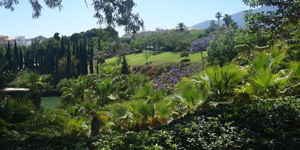 66. V parku La Paloma, Benalmadena 1