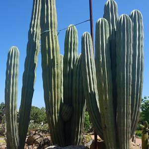 66. V parku La Paloma, Benalmadena 5a