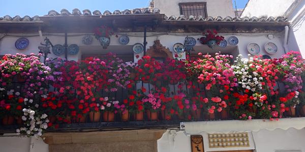 9. Granada, Albayzin