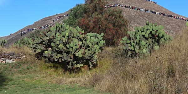 035. Pyramida  Slunce, Teotihuacán