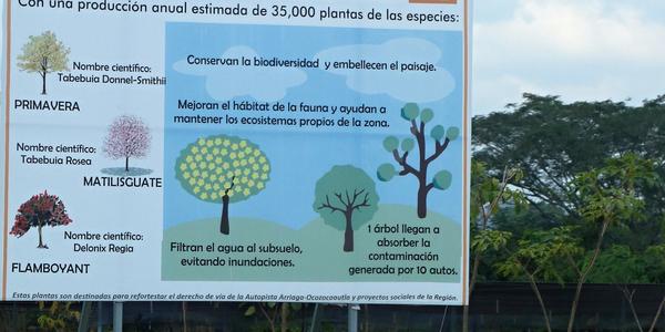 094. Snaha o vzdělání veřejnosti, Chiapas