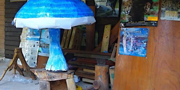 117. Agua Azul 5