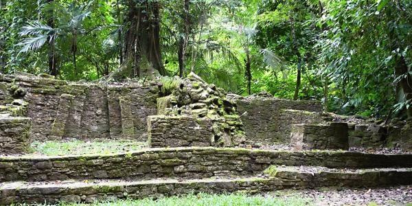 120. Dosud nerozkryté Palenque