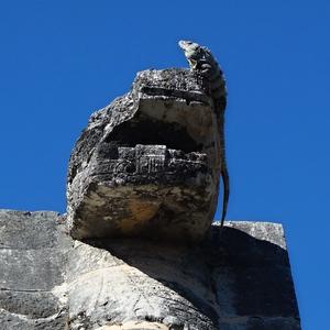 160. Dva ještěři v Chichen Itza