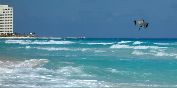 167. Den volna na pláži v Cancúnu 1