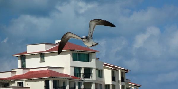 167. Den volna na pláži v Cancúnu 2