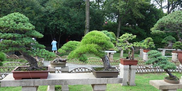 109. Suzhou, Zahrada skromného úředníka