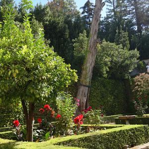 024. Granada, zahrady Generalife
