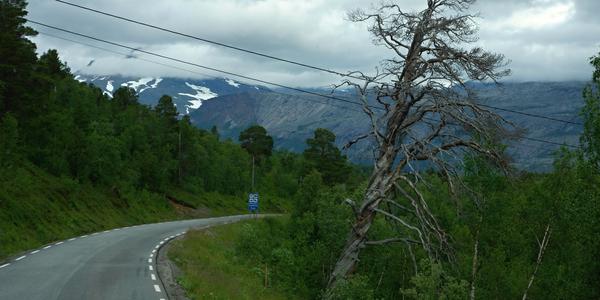 086. Cestou k Lonselva