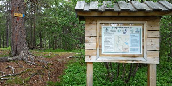 086. Rezervace Dypen, Lonselva
