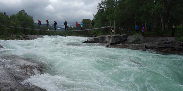 089. Lonselva