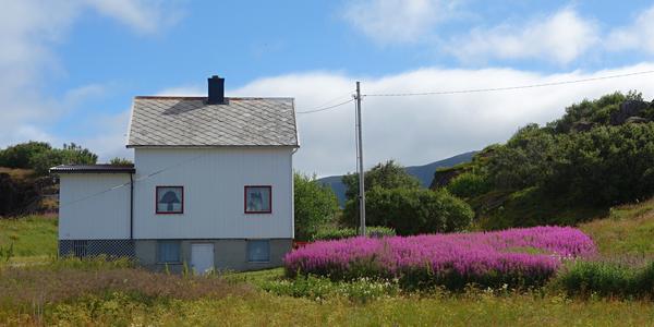 100. Vesteralen, Lauvik