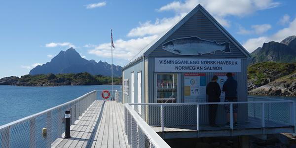 103. Kabelvag, info o lososech 1