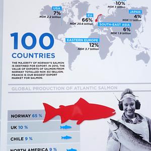 103. Kabelvag, info o lososech 2