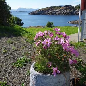 113. V Henningsvaeru 3