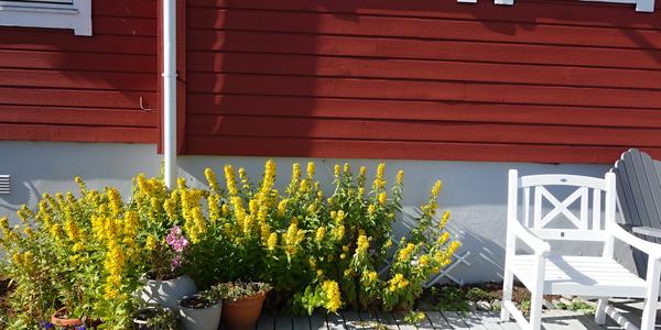 113. V Henningsvaeru 4