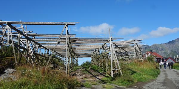 113. V Henningsvaeru 5