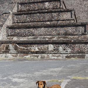 022. Teotihuacán, Pyramida Měsíce se psem