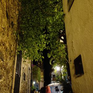 057. Taxco v noci