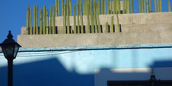 090. Oaxaca, naproti hotelu El Domenico