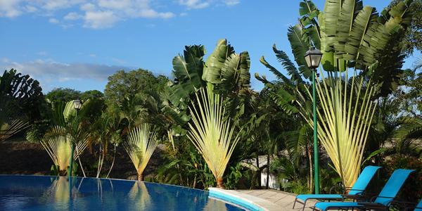 114. Palenque, v hotelovém areálu