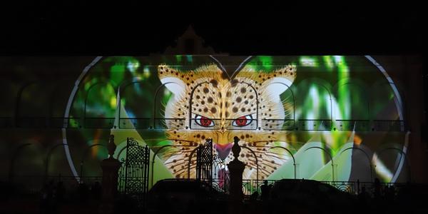 120. Campeche, night show 2