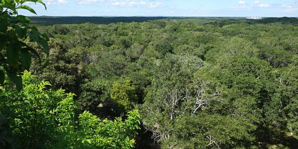 124. Uxmal 5