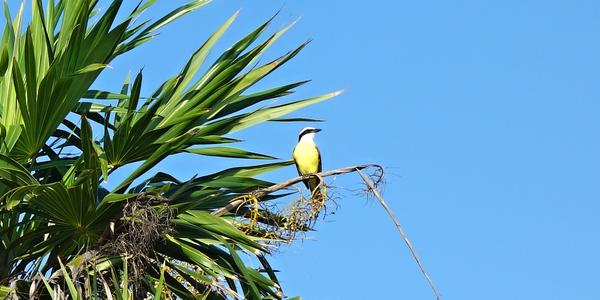 143. Tulum 1