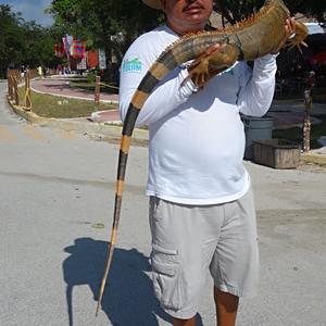 143. Tulum 6
