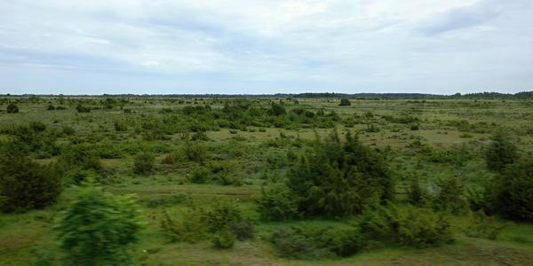 024. Oland, krajina alvaru