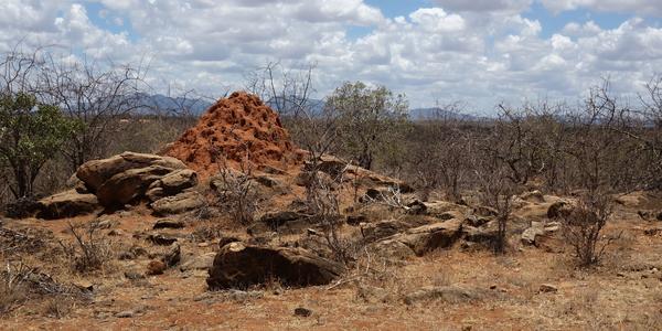 029-Tsavo West, charakter krajiny