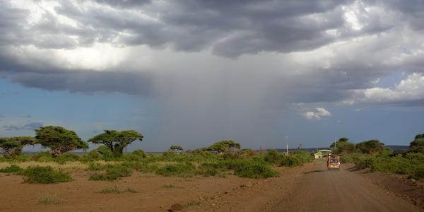 171-Amboseli, slejvák bez varování