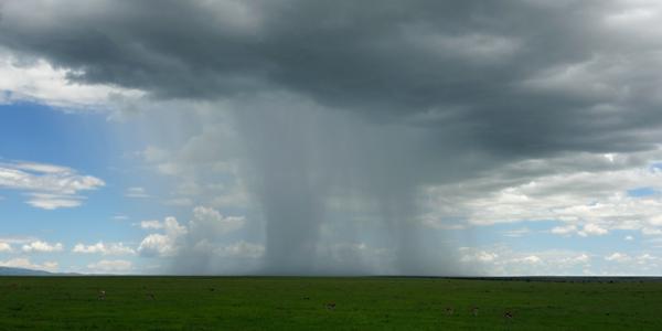 196-Masai Mara, slejvák