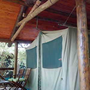 199-Masai Mara, Fig Tree camp