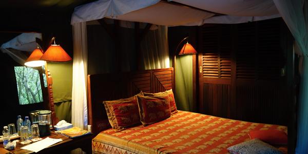 200-Masai Mara, Fig Tree camp