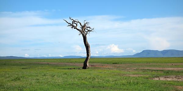 202-Masai Mara, krajina