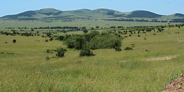 223-Masai Mara, krajina před Mara Trangle