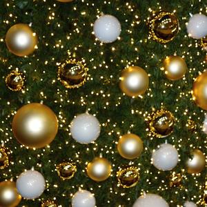 29. Advent v Drážďanech