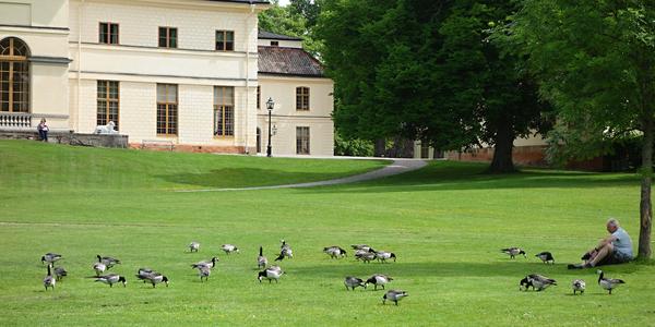 17. Stockholm, Drottningholm 12