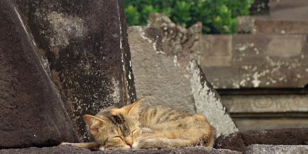 029-Prambanan