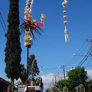 130-penjory cestou k Ulun Danu