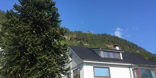 015 Bergen, na úpatí hory Floy