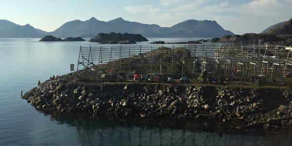 088 Henningsvaer, rovné místo na stanování
