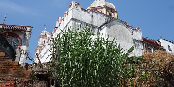 210-Taxco 11